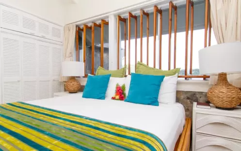 Young Island-Luxury With Plunge Pool 3_3115